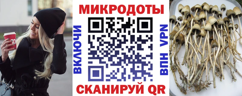 Псилоцибиновые грибы MAGIC MUSHROOMS  наркотики  Фокино 